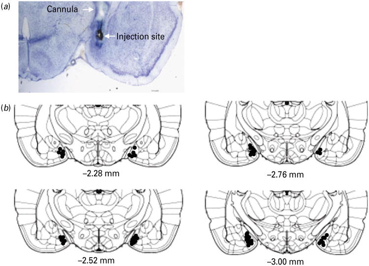 Fig. 8