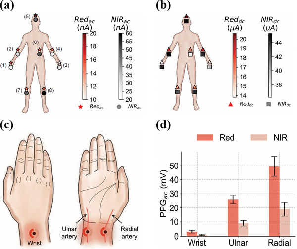 Figure 11