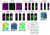 Extended Data Fig. 8 |