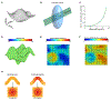 Extended Data Fig. 2 |