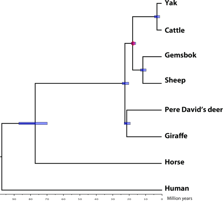 Figure 4: