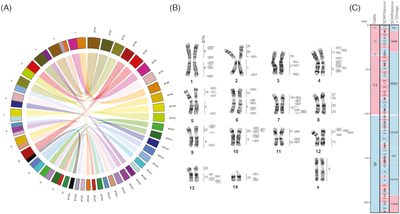 Figure 2: