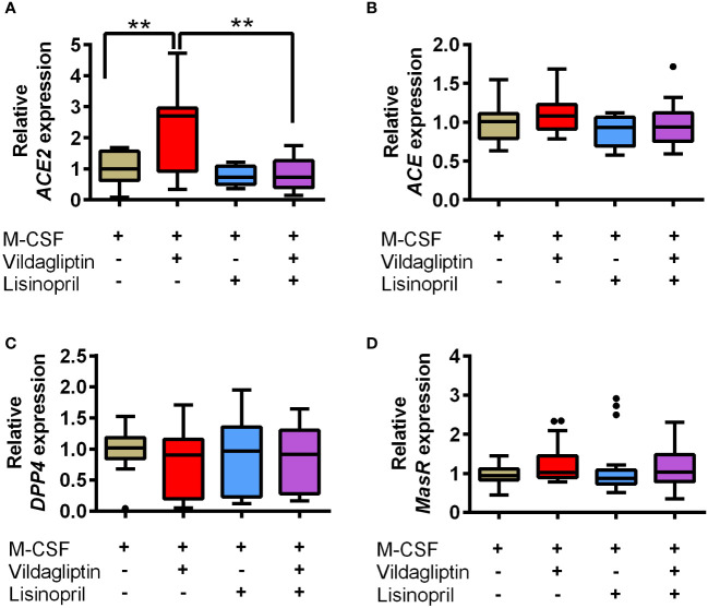 Figure 4