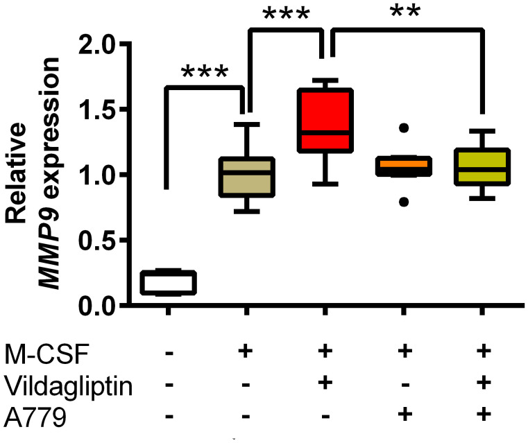 Figure 5