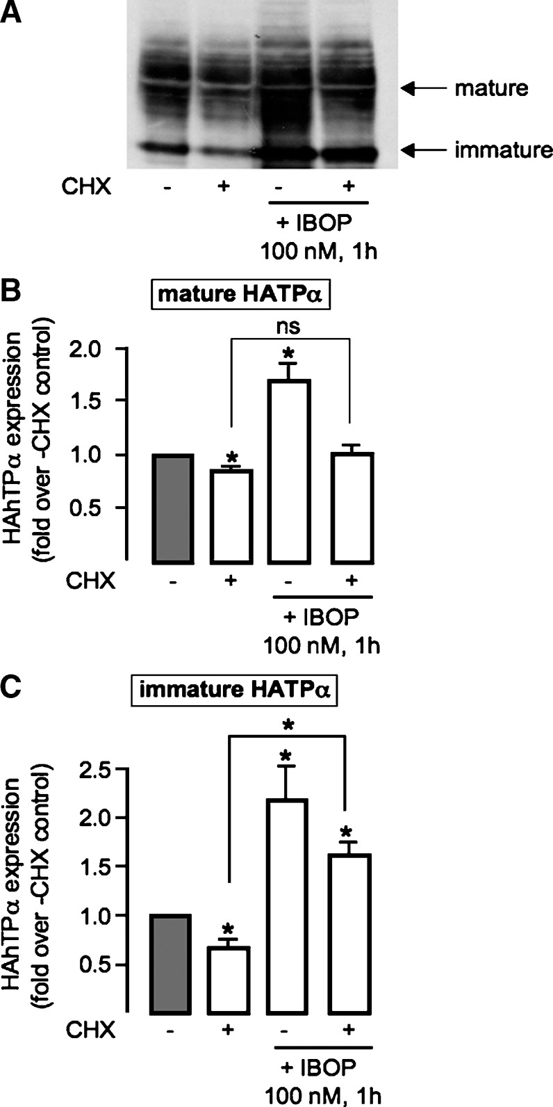 Fig. 8.