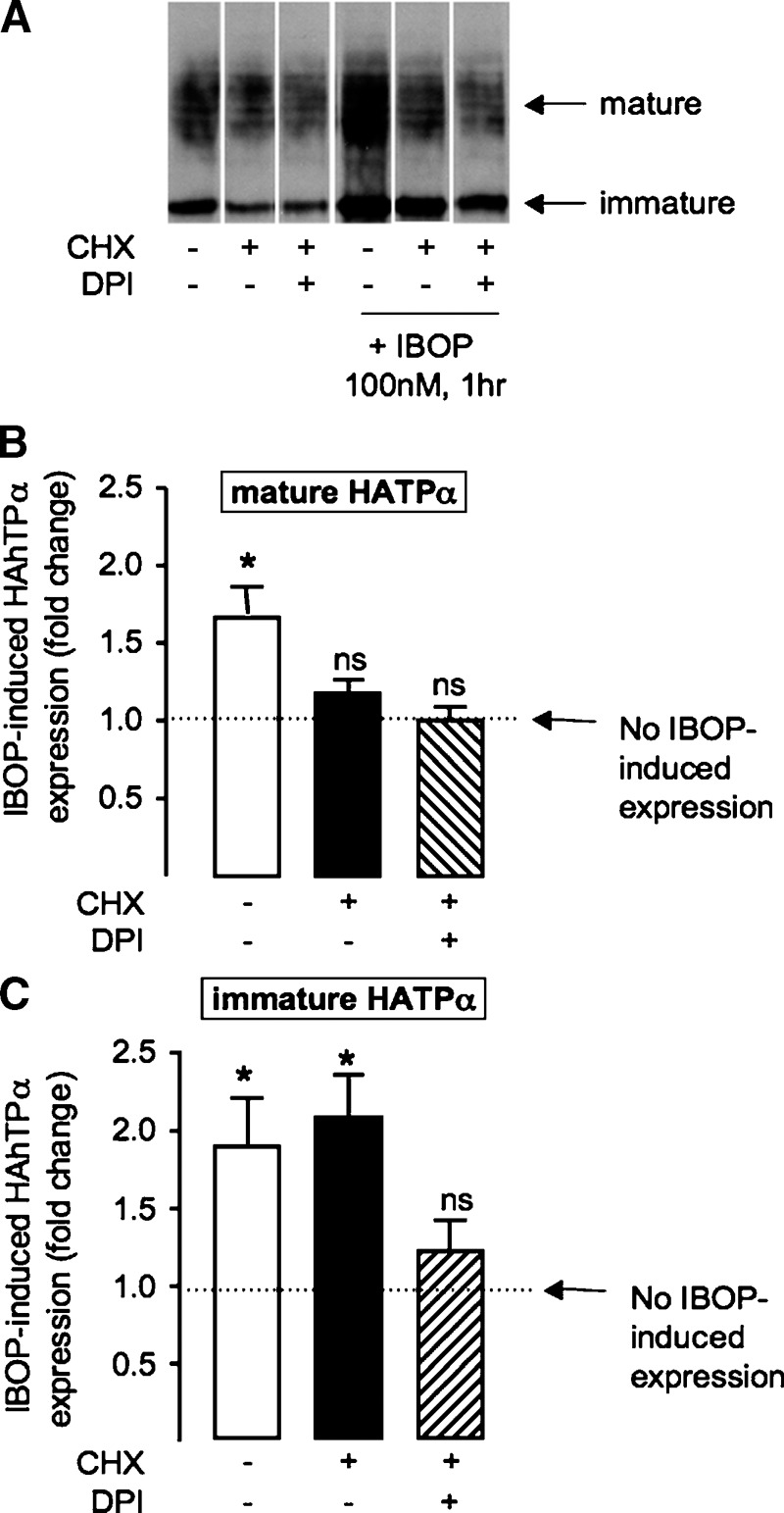 Fig. 9.