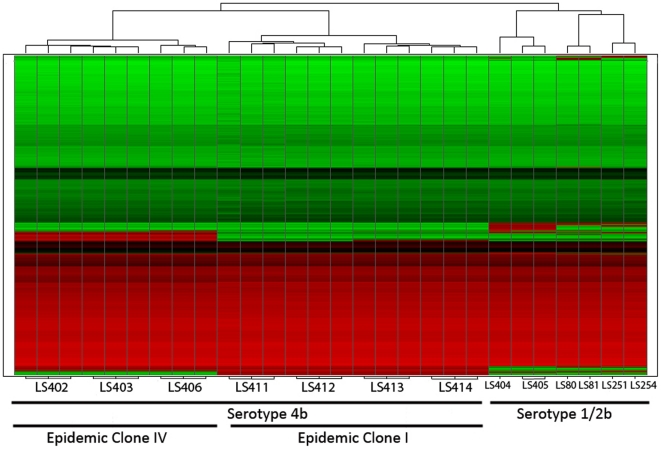 Figure 5