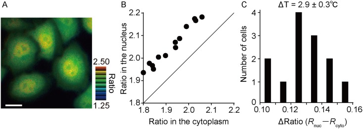 Fig 5