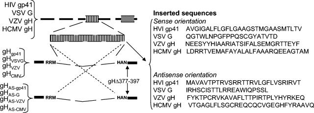 FIG. 7.