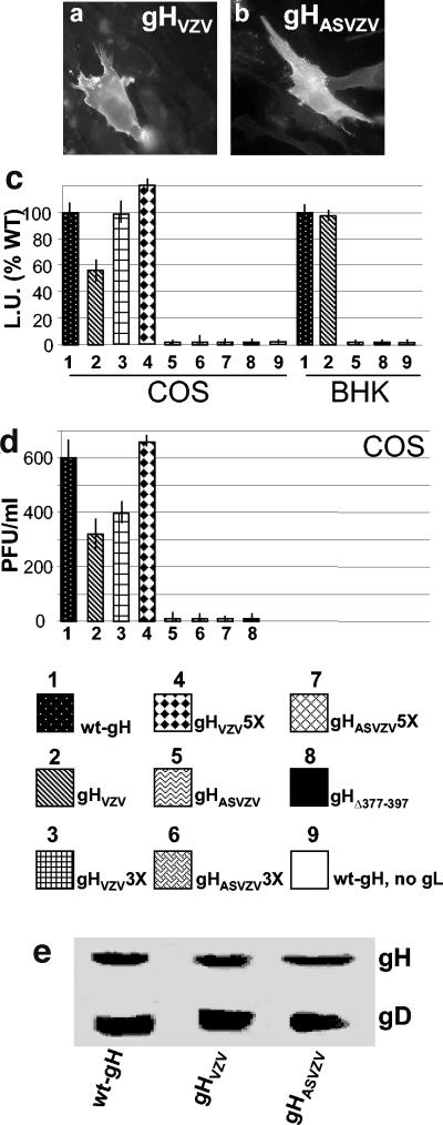 FIG. 9.