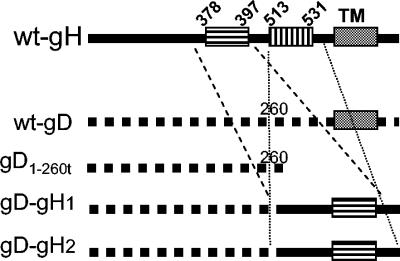 FIG. 2.