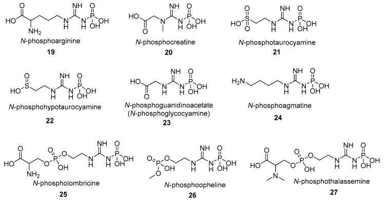 graphic file with name molecules-24-00866-i009.jpg