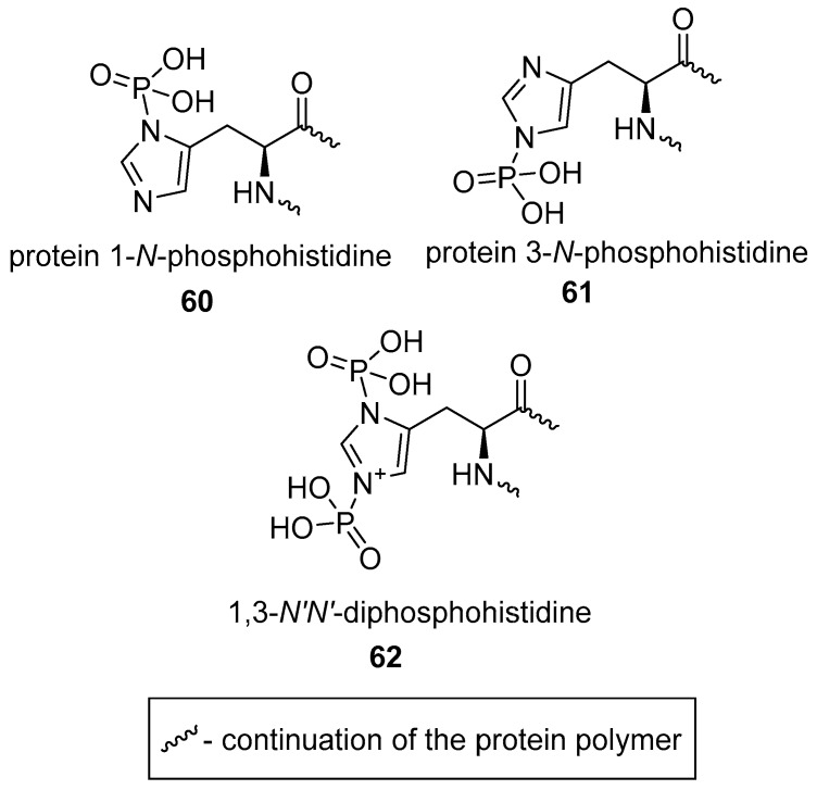 graphic file with name molecules-24-00866-i022.jpg