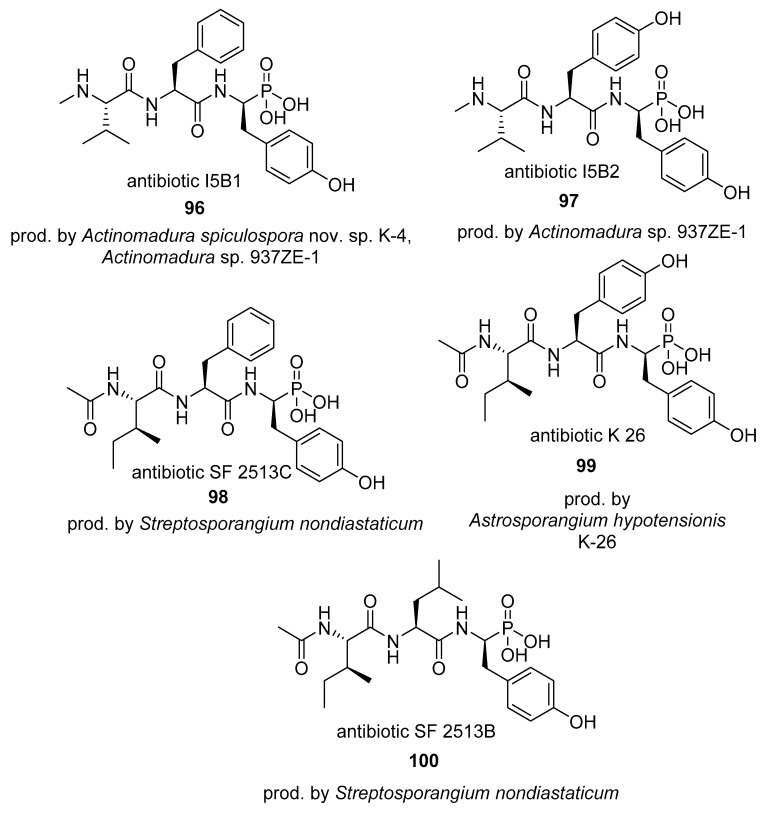 graphic file with name molecules-24-00866-i029.jpg