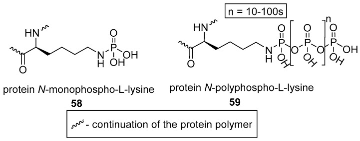 graphic file with name molecules-24-00866-i021.jpg