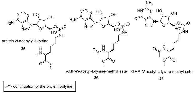 graphic file with name molecules-24-00866-i012.jpg