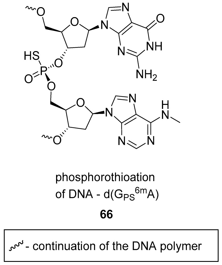 graphic file with name molecules-24-00866-i025.jpg