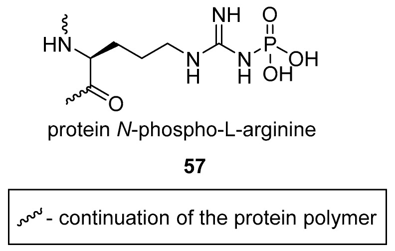 graphic file with name molecules-24-00866-i020.jpg