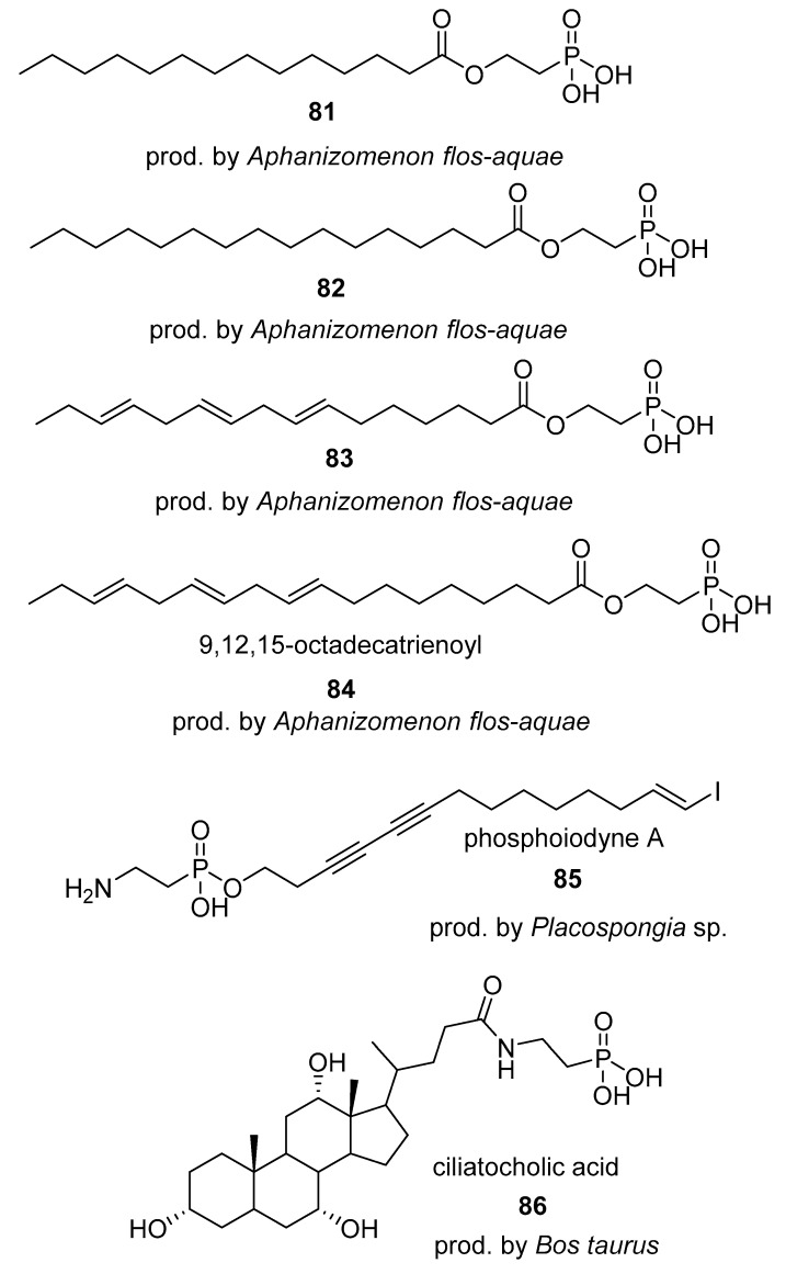 graphic file with name molecules-24-00866-i027.jpg