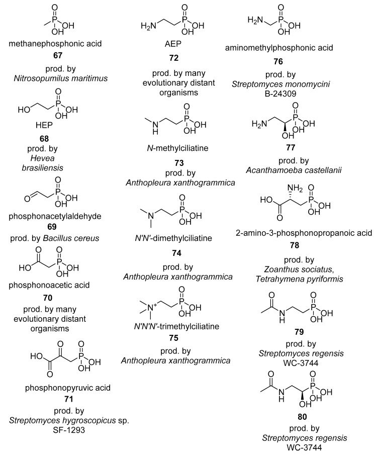 graphic file with name molecules-24-00866-i026.jpg