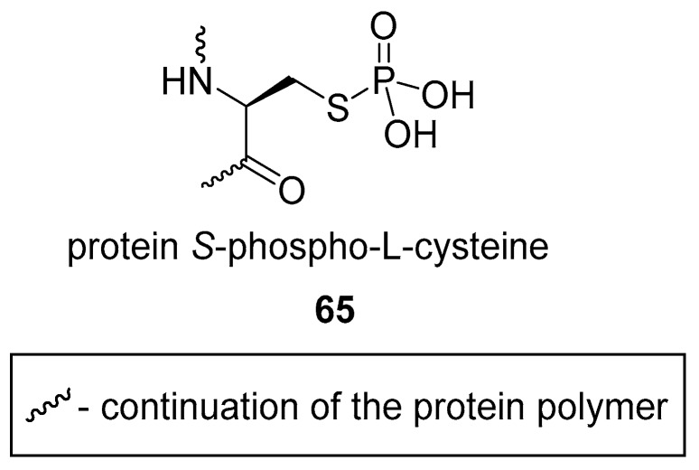 graphic file with name molecules-24-00866-i024.jpg