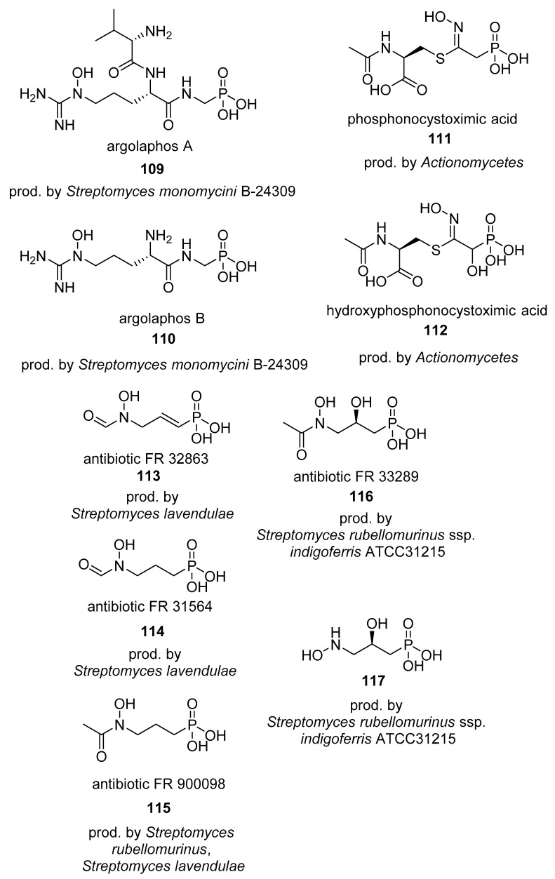 graphic file with name molecules-24-00866-i031.jpg