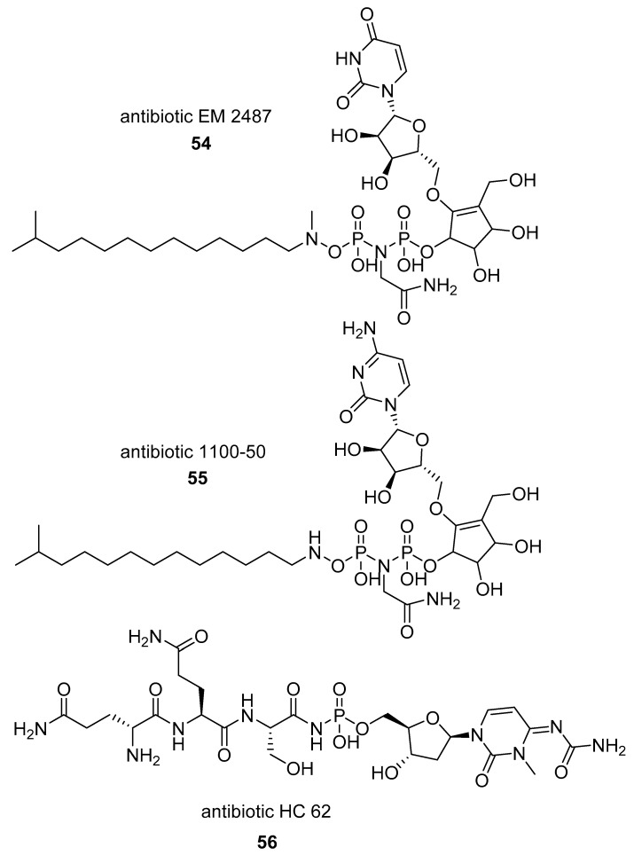 graphic file with name molecules-24-00866-i019.jpg