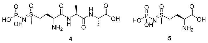 graphic file with name molecules-24-00866-i002.jpg