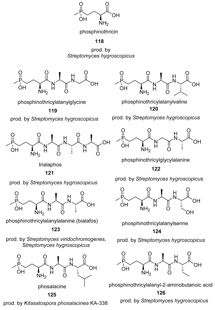 graphic file with name molecules-24-00866-i032.jpg