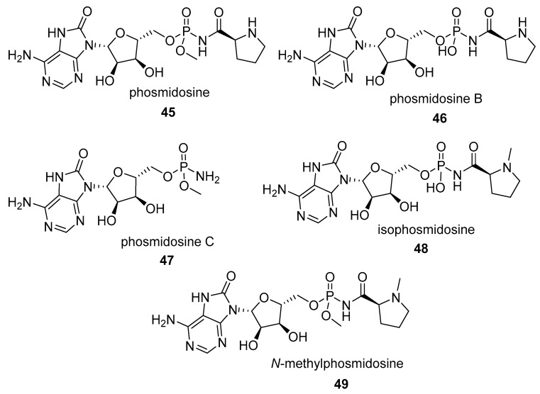 graphic file with name molecules-24-00866-i016.jpg