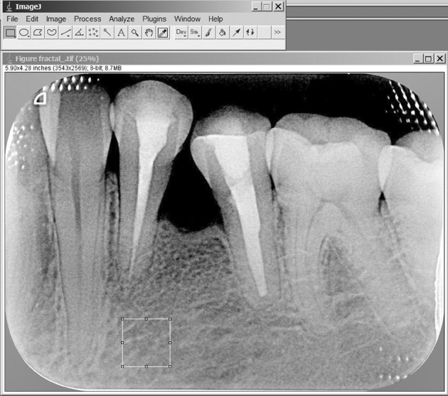 Figure 5.