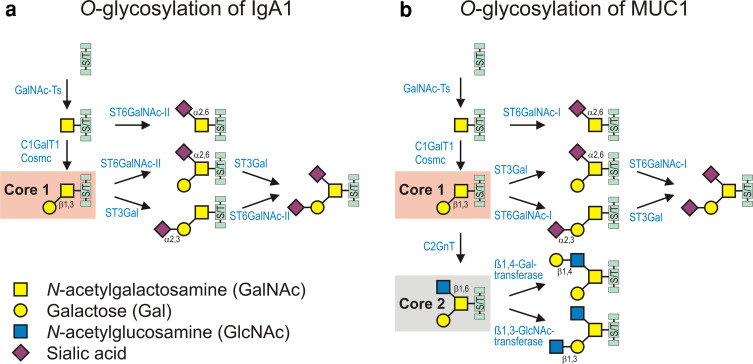 Fig. 2