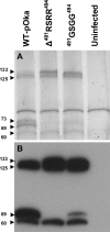 FIG. 5.