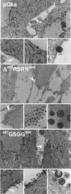FIG. 9.