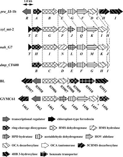 FIG. 8.