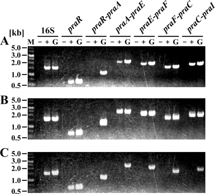 FIG. 6.