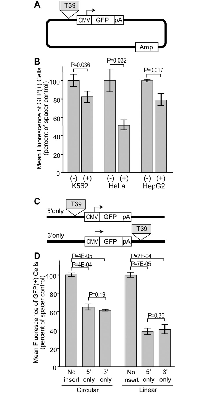 Fig 5