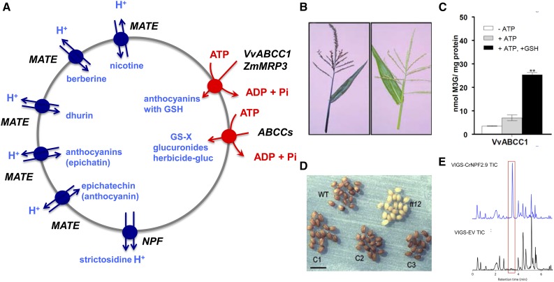 Figure 2.