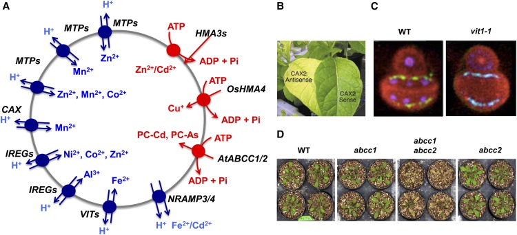 Figure 3.