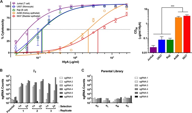 FIG 1