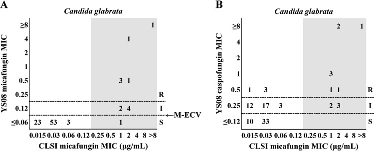 FIG 2