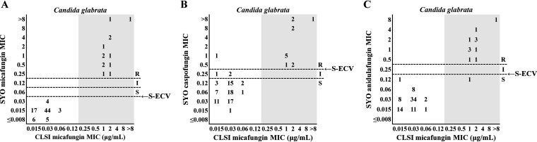 FIG 3