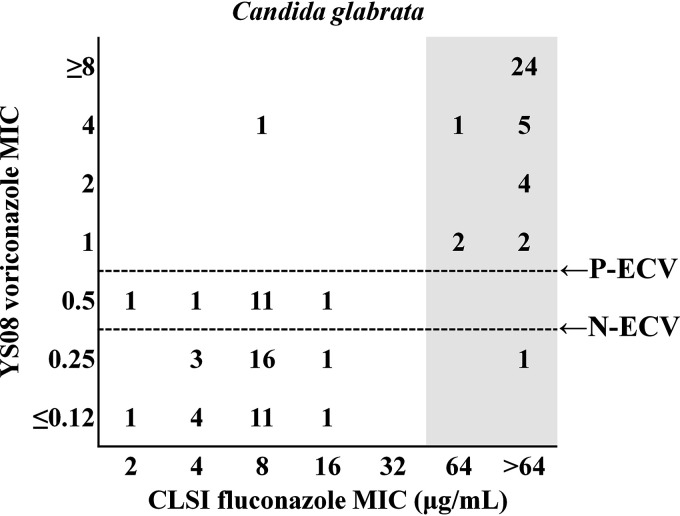 FIG 1