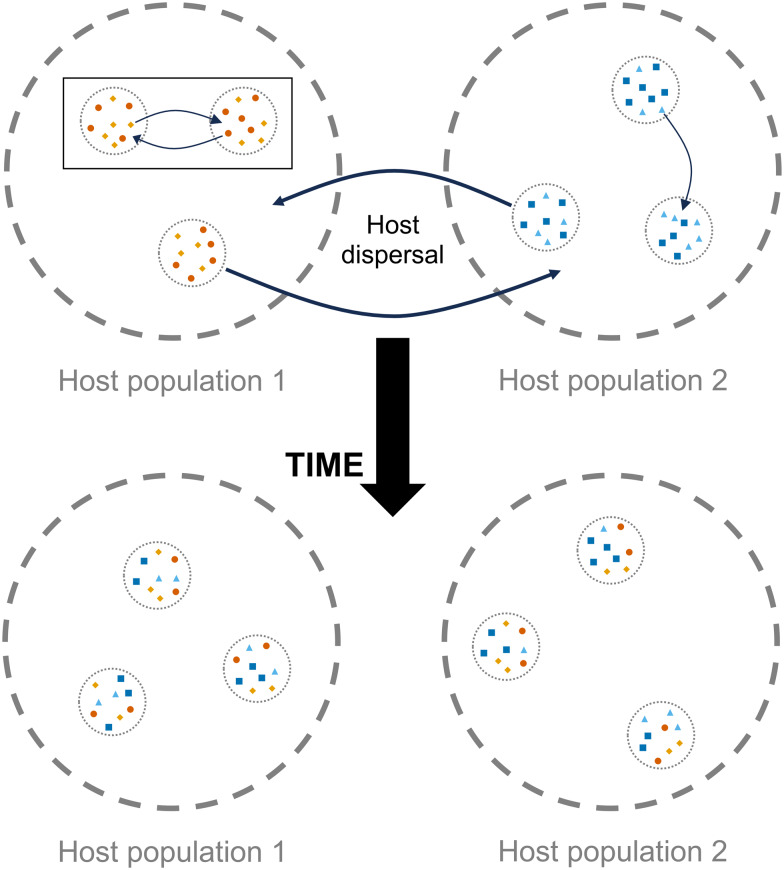 Figure 1.