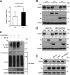 FIG 5