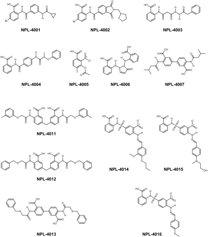 FIGURE 6