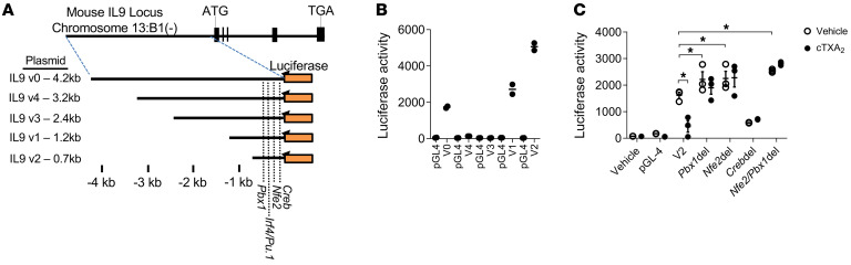 Figure 10