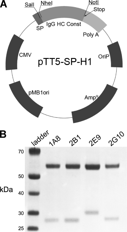 FIGURE 3.