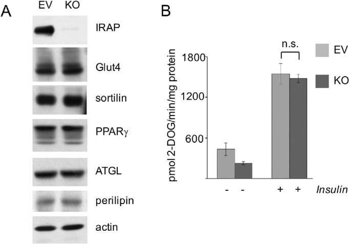 FIGURE 6: