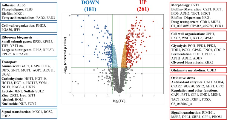 FIG 4